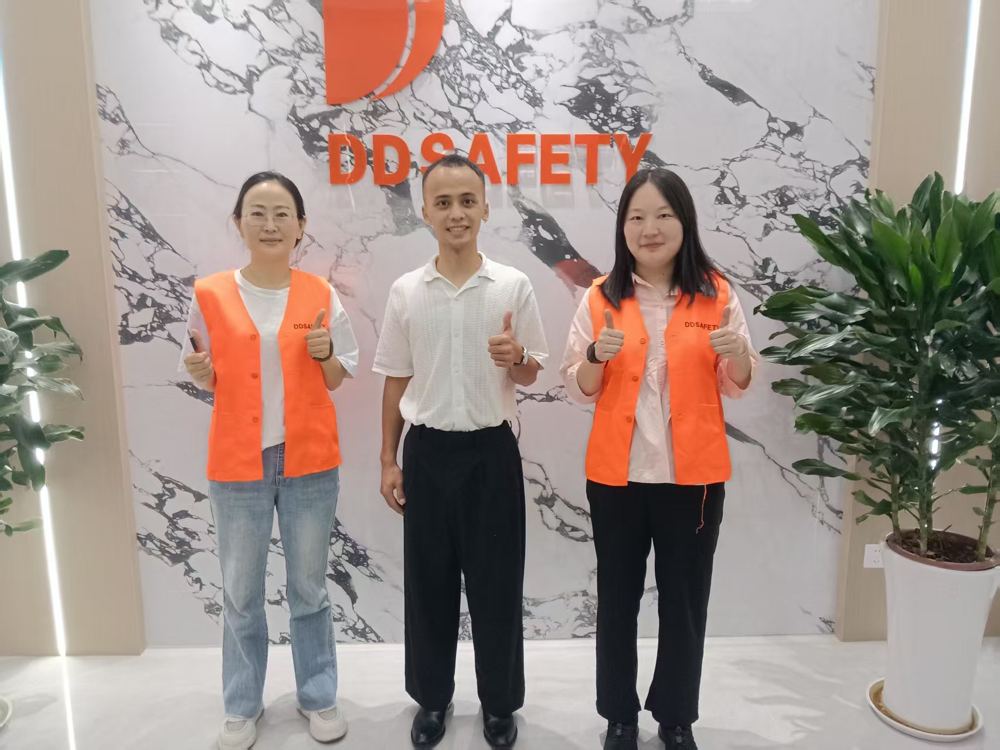 DDSafety